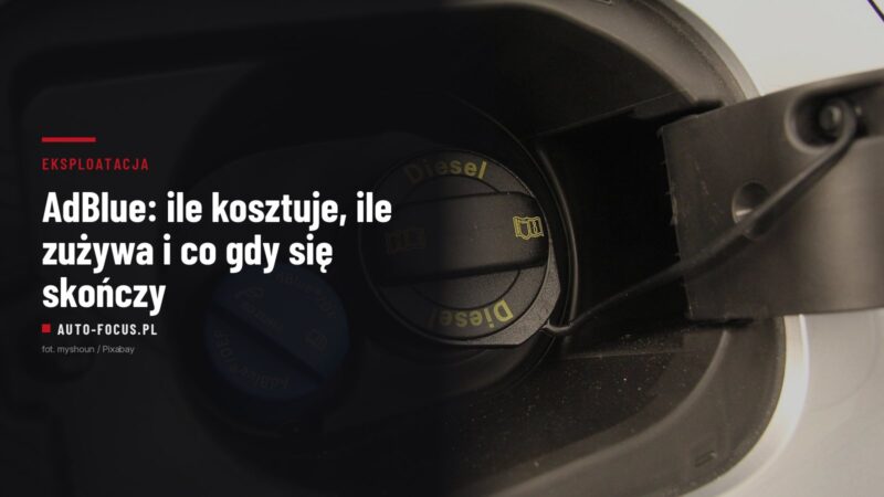 Otwarta klapka wlewu paliwa w dieslu: czarny korek Diesel i niebieski korek AdBlue z oznaczeniem ISO 22241-1