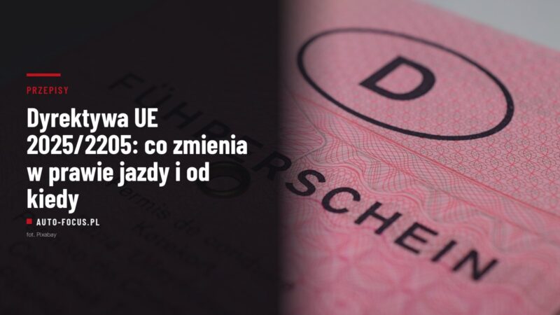 Zbliżenie na niemieckie różowe prawo jazdy z napisem Führerschein