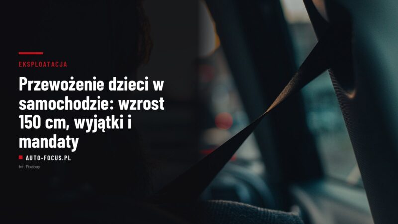 Zapięty pas bezpieczeństwa pasażera we wnętrzu samochodu